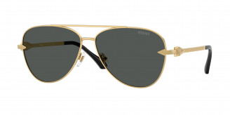 Versace  VE2283 100287 Gold (Dark Grey)
