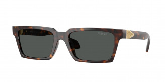 Versace  VE4490U 108/87 Havana (Dark Grey)
