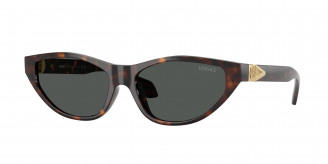 Versace  VE4491U 108/87 Havana (Dark Grey)