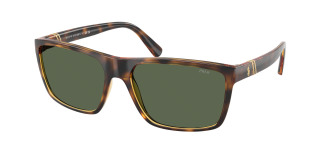 Polo Ralph Lauren  PH4133 500371 Shiny Transparent Dark Havana (green)