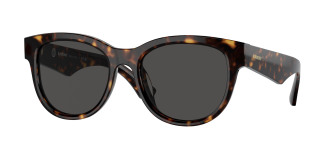 Burberry  BE4432U 300287 Dark Havana (Dark Grey)