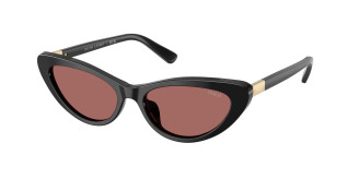 Polo Ralph Lauren  PH4199U 500169 Shiny Black (Dark Violet)