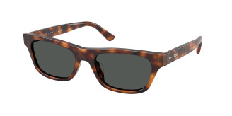 Polo Ralph Lauren  PH4238U 635587 Marrone Tartaruga (Dark Grey)