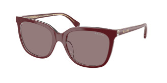 Ralph By Ralph Lauren  RA5343U 62997N Burgundy Transparent (Violet)