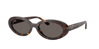 Ray-ban  RB2223 902/B1 Havana (Dark Grey)