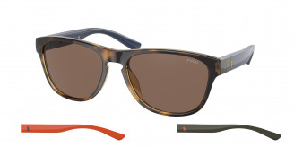 Polo Ralph Lauren  PH4180U 500373 Shiny Havana (Brown)