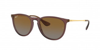 Ray-ban Erika RB4171 6593T5 Transparent Dark Brown Polarized (Brown Gradient Polar)