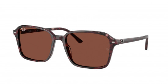 Ray-ban Raimond RB2231F image
