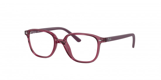 Ray-ban Junior Leonard RY9093V image