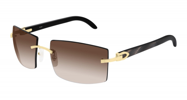 cartier_ct0021rs_gold_001 cartier_ct0021rs_gold_001