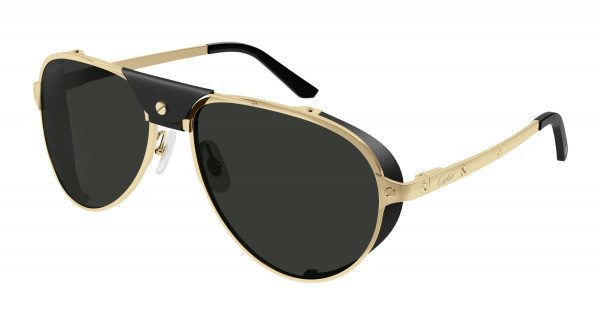 cartier_ct0296s_gold_001