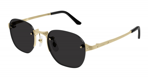 cartier_ct0459s_gold_005