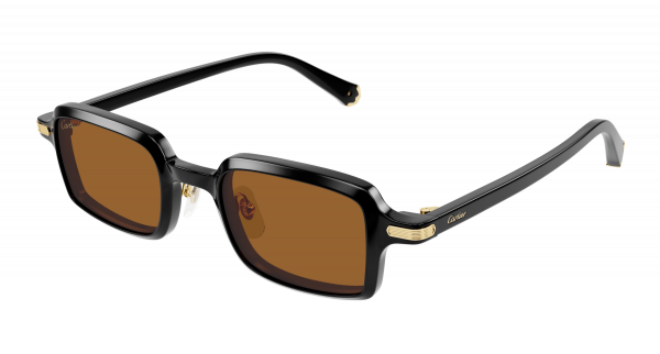 cartier_ct0539s_black_003
