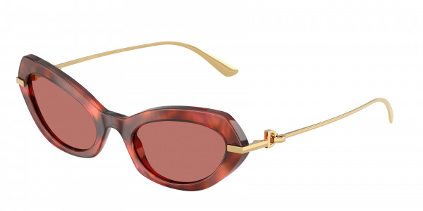dolce___gabbana_0dg4473_344469_havana_brown
