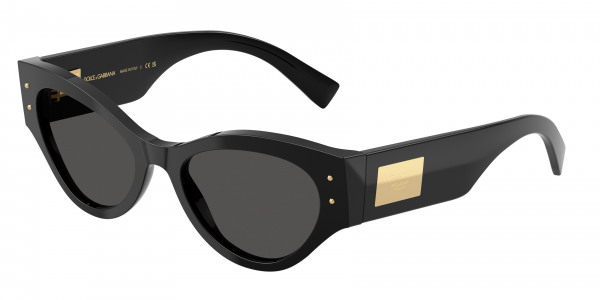 dolce___gabbana_0dg4480_501_87_black