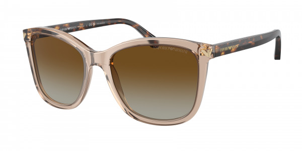 emporio_armani_0ea4060_5850t5_transparent_tundra_polarized