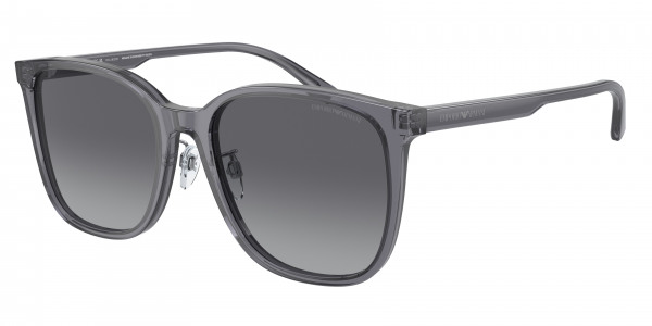 emporio_armani_0ea4206d_5029t3_shiny_transparent_grey_polarized