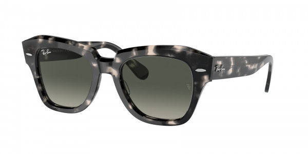 rayban_0rb2186_133371_grey_havana