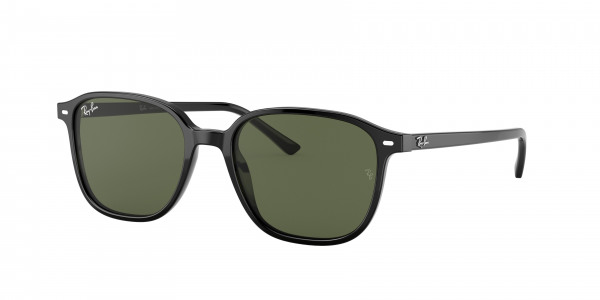 rayban_0rb2193_901_31_black