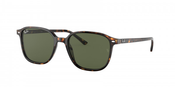 rayban_0rb2193_902_31_tortoise