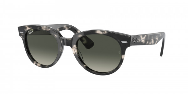 rayban_0rb2199_133371_grey_havana