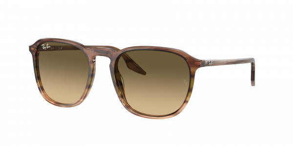 rayban_0rb2203_13920a_striped_brown___green
