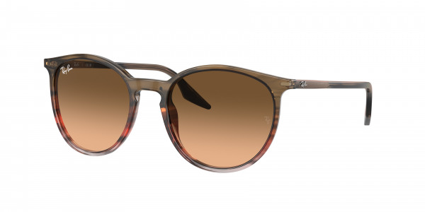 rayban_0rb2204_13953b_striped_brown___red