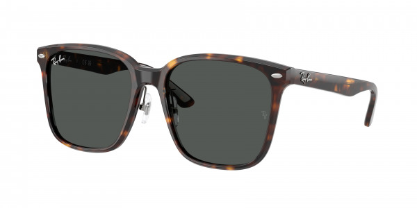 rayban_0rb2206d_710_87_havana