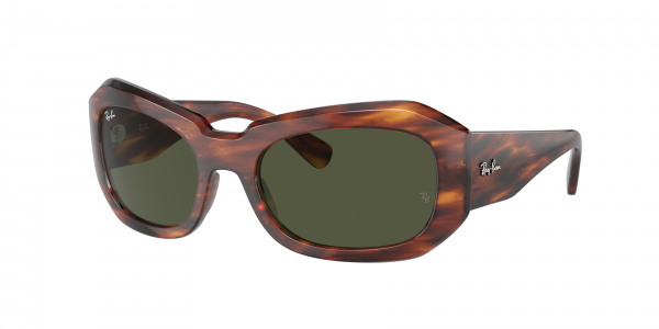 rayban_0rb2212_954_31_striped_havana