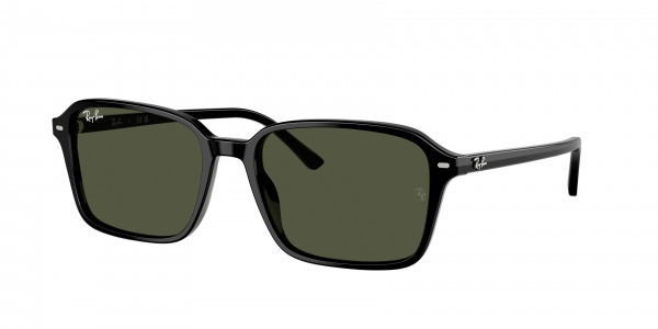 rayban_0rb2231_901_31_black