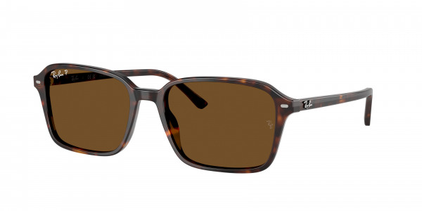 rayban_0rb2231_902_57_havana_polarized