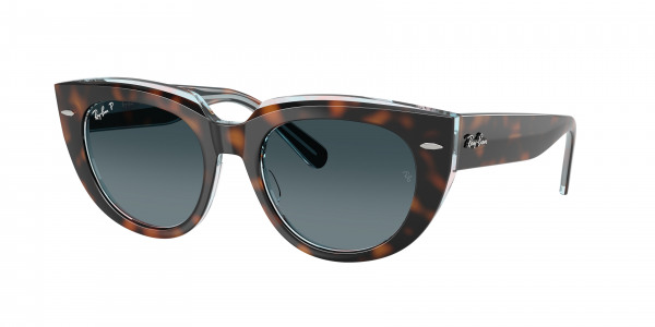 rayban_0rb2286_1413s3_dark_havana_on_transparent_multicolour_polarized