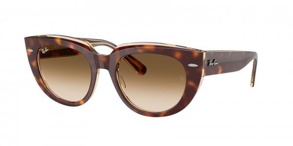 rayban_0rb2286_141451_light_havana_on_transparent_multicolour