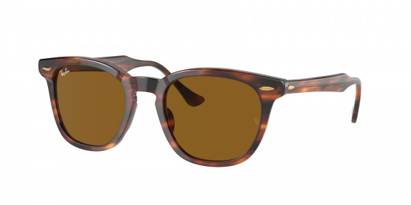 rayban_0rb2298_954_33_striped_havana