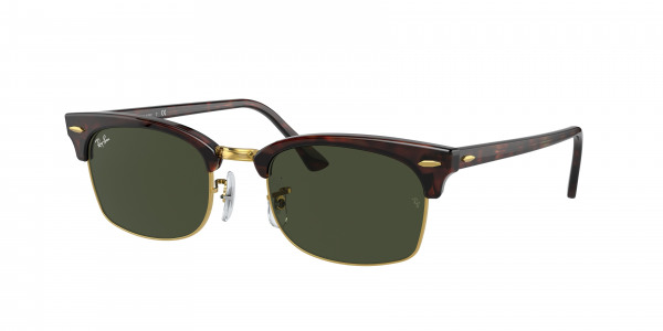 rayban_0rb3916_130431_tortoise