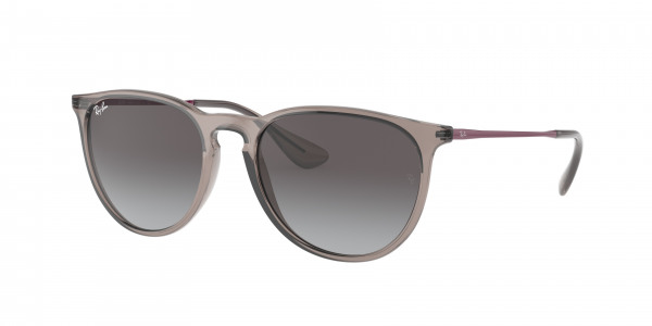 rayban_0rb4171_65138g_transparent_grey rayban_0rb4171_65138g_transparent_grey