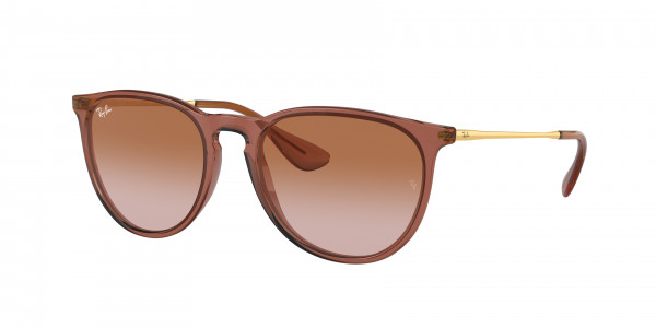 Ray ban erika frames online