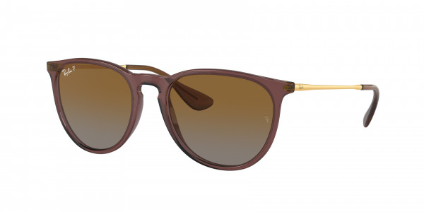 rayban_0rb4171_6593t5_transparent_dark_brown_polarized