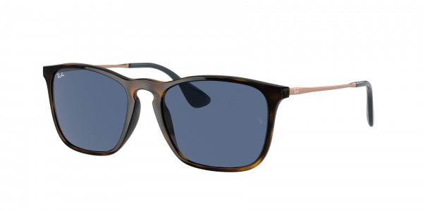 rayban_0rb4187_639080_havana