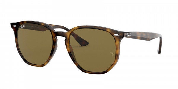 rayban_0rb4306_710_73_light_havana
