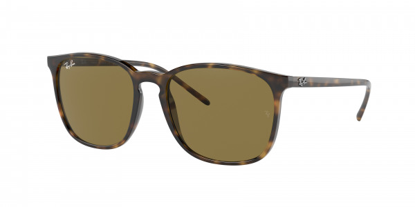rayban_0rb4387_710_73_light_havana