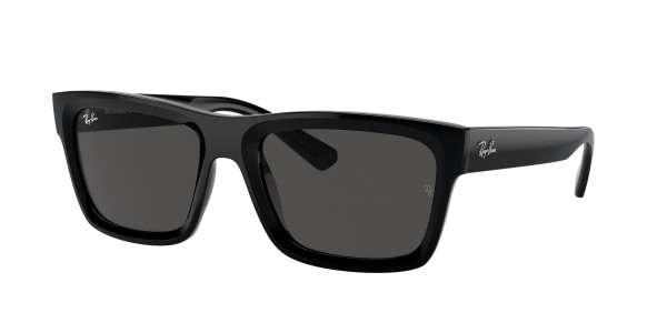 rayban_0rb4396_667787_black