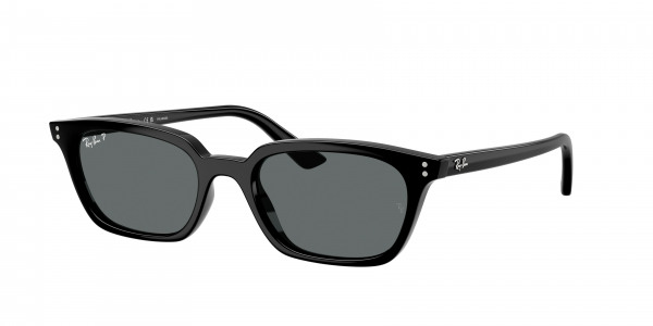 rayban_0rb4456_667781_black_polarized
