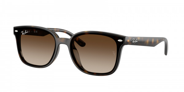 rayban_0rb4461d_710_13_havana