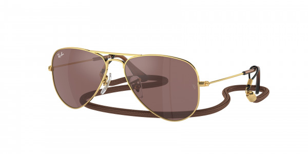 rayban_kids_0rj9506s_223_6g_arista_gold rayban_kids_0rj9506s_223_6g_arista_gold