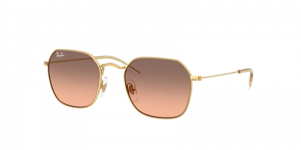 rayban_kids_0rj9594s_223_46_arista_gold