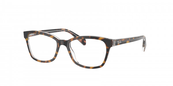 rayban_kids_0ry1591_3805_havana_on_transparent