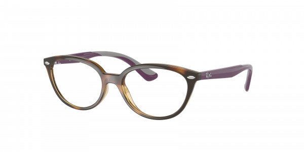 rayban_kids_0ry1612_3904_havana