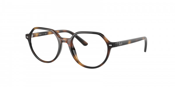 rayban_kids_0ry9095v_3685_havana