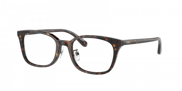 rayban_vista_0rx5407d_2012_havana